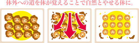 体外への道を体が覚えることで自然とやせる体に。